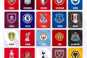 英超轉(zhuǎn)會觀察:金元狂潮背后套路多<div id=