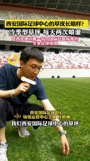 西安國際足球運營主管：草皮國外進口＆冷季型草<div   id=